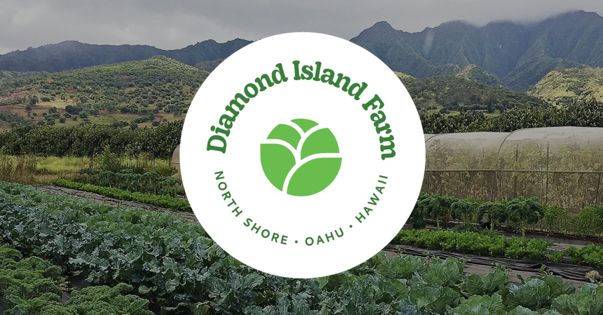 Diamond Island Farm photo 1 in Haleiwa